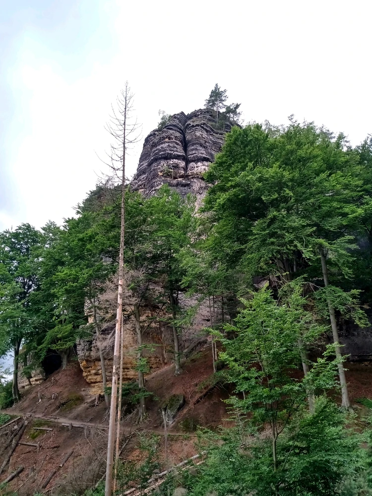 Image uploaded by Emmanuel