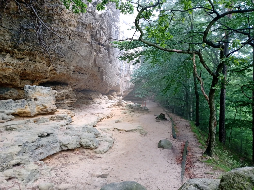 Image uploaded by Emmanuel