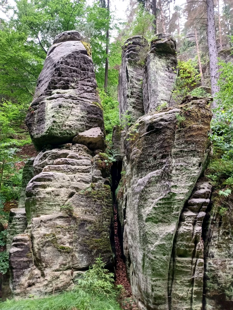 Image uploaded by Emmanuel