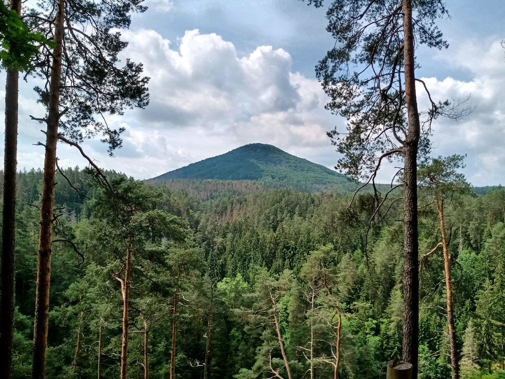 Image uploaded by Emmanuel