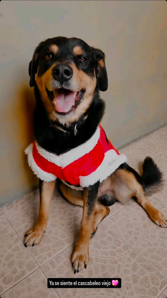 GIF subido por Anahi