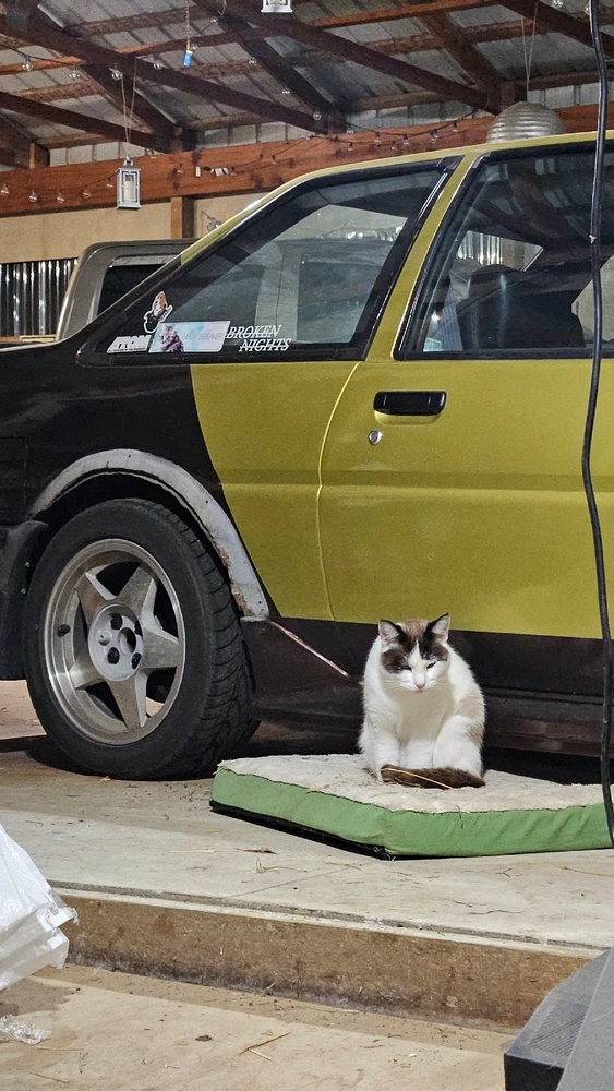 GIF uploaded by Alonso