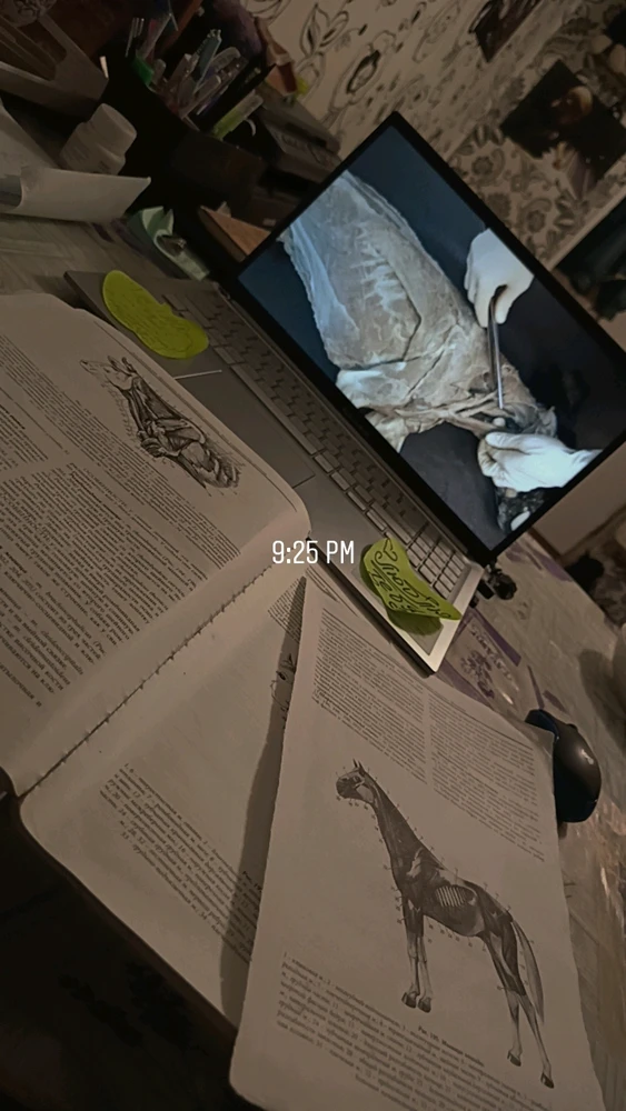 GIF uploaded by Lana Mathers