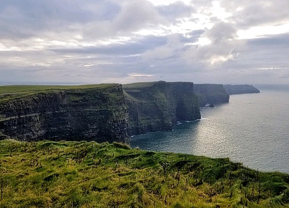 Image uploaded by Chani