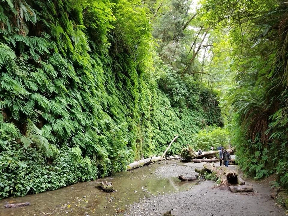 GIF uploaded by Guy-O-Blanco