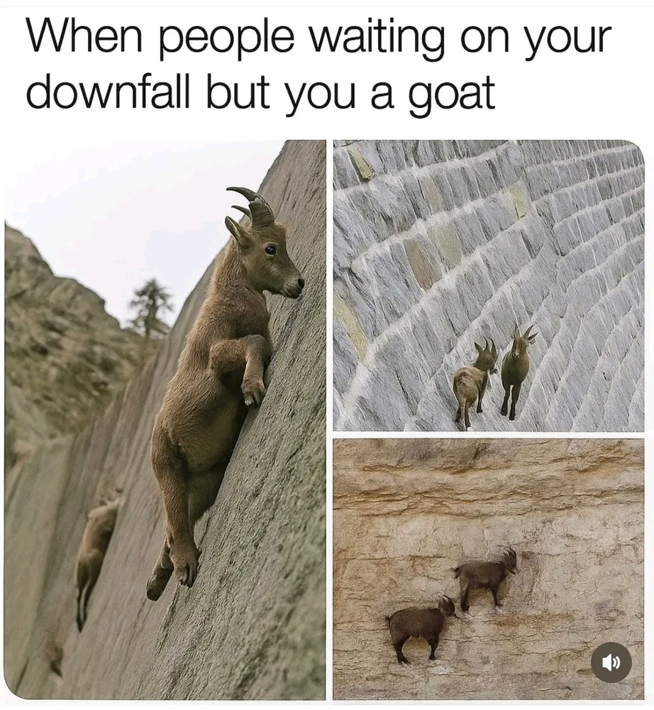 🤣🤣🤣🐐♑