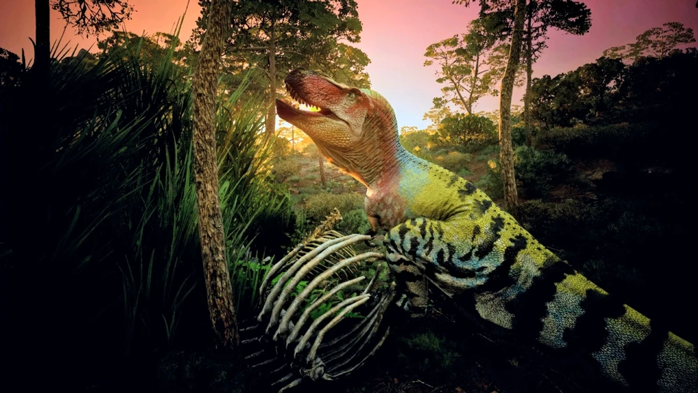 Image uploaded by Reyas