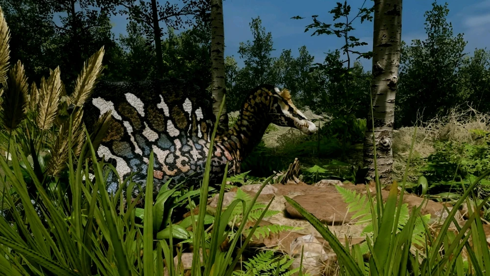 Image uploaded by Reyas