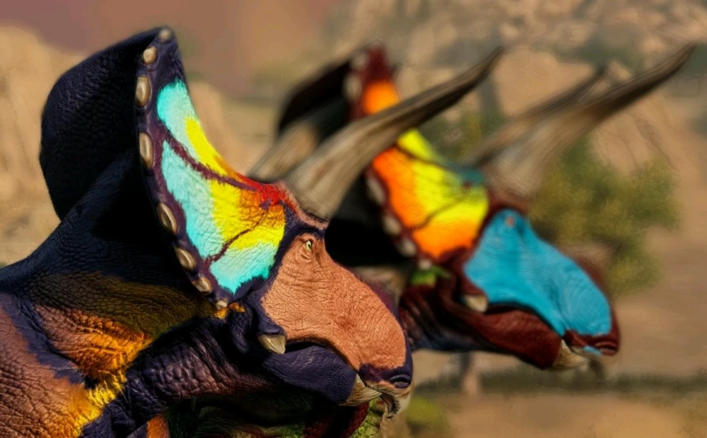 Image uploaded by Reyas