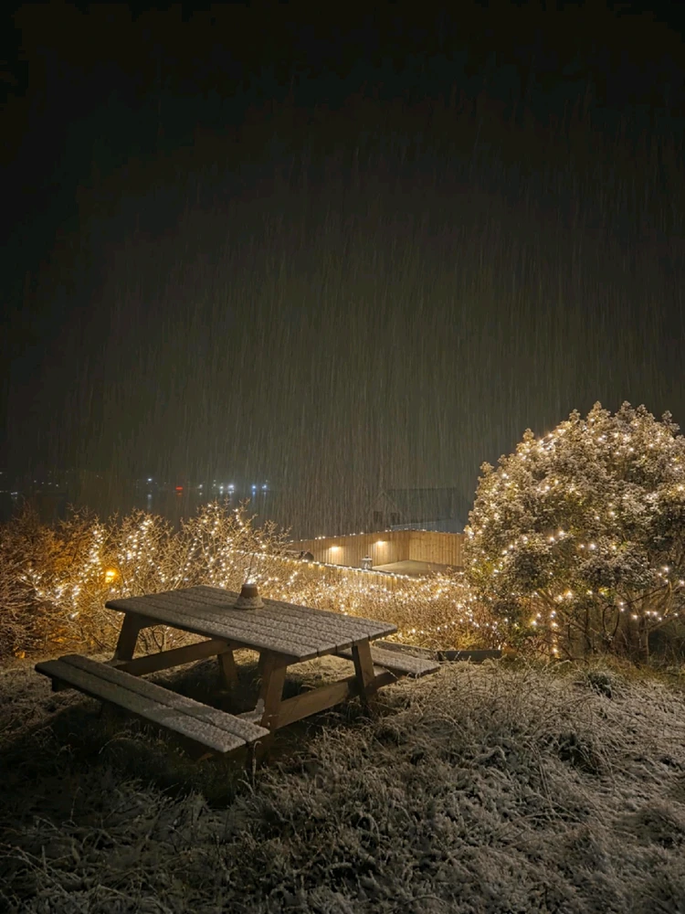 GIF uploaded by Frida