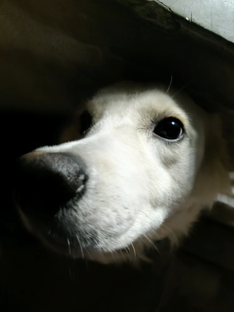 GIF uploaded by Arav Paul