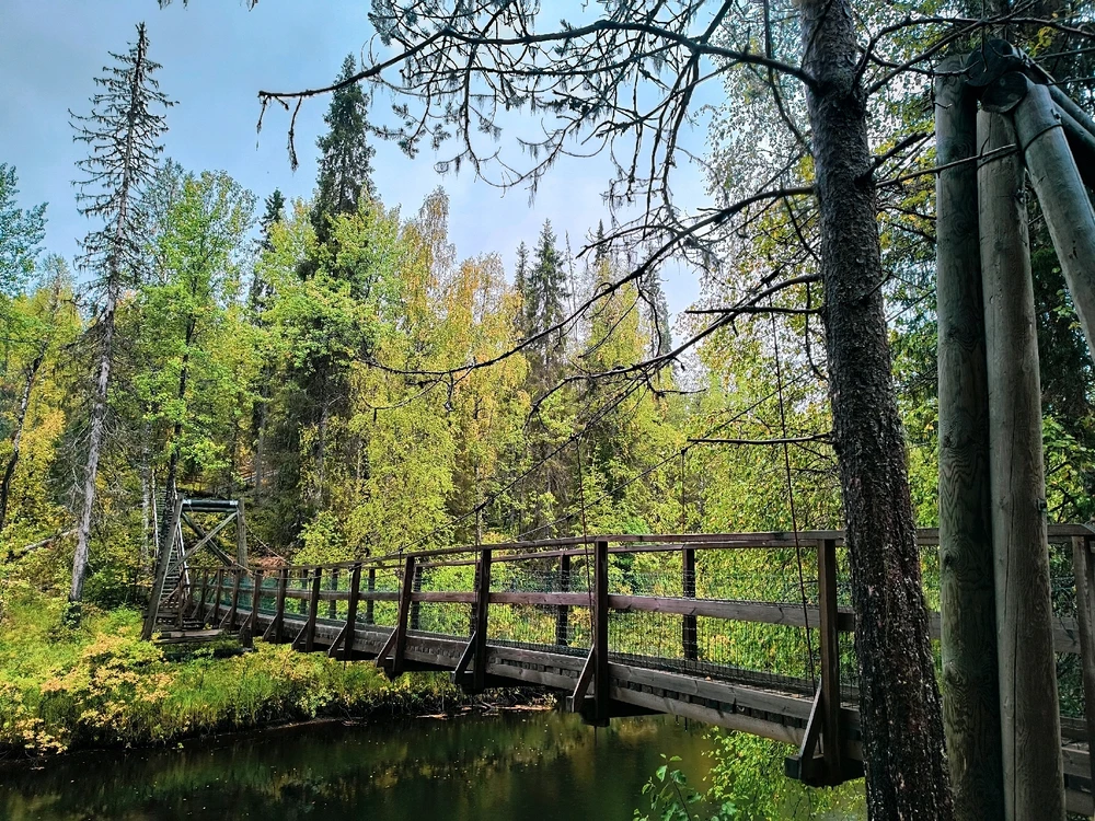 Image uploaded by Sulei