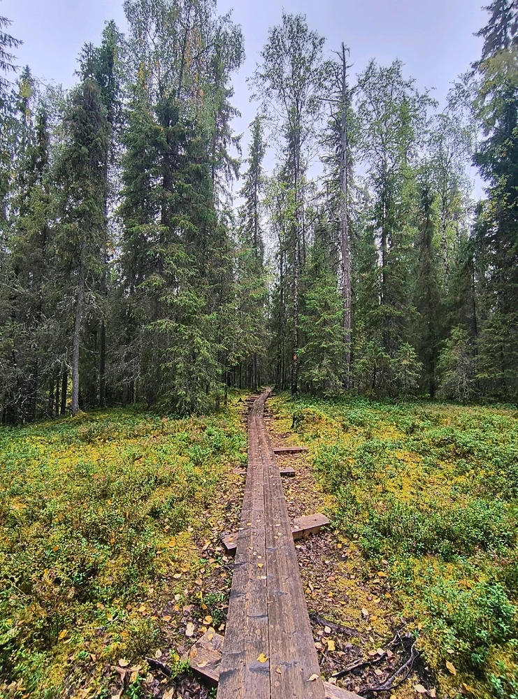 Image uploaded by Sulei