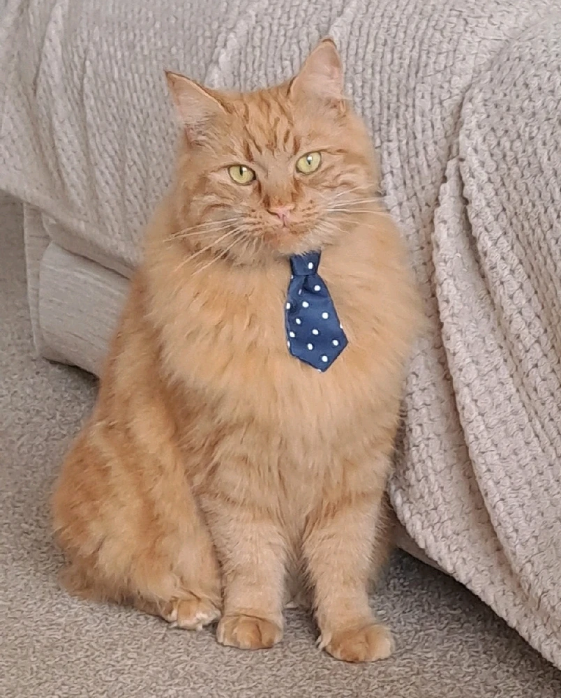 GIF uploaded by Georgie