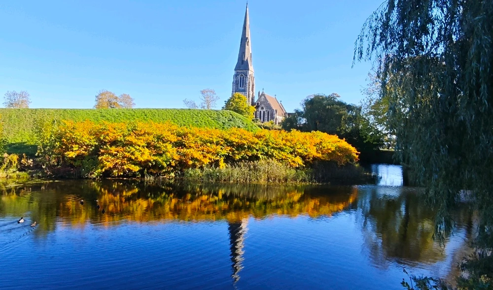 GIF pujat per Perdut