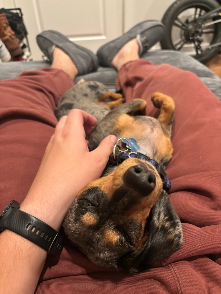 Image uploaded by Alex