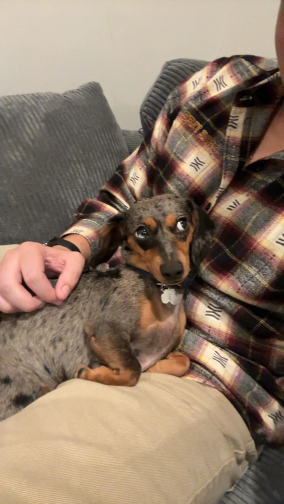 Image uploaded by Alex