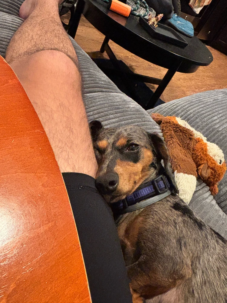 Image uploaded by Alex