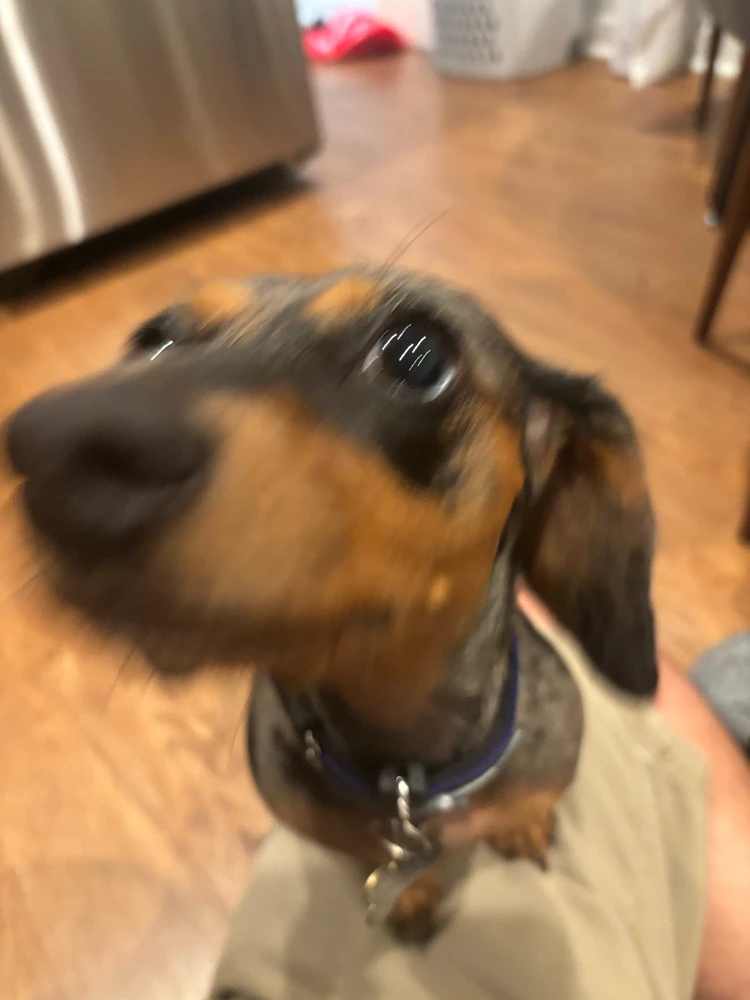 Image uploaded by Alex