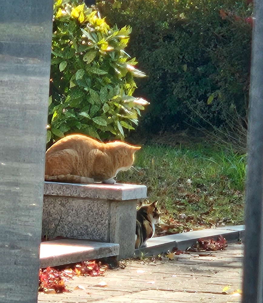 Faust님이 올린 사진