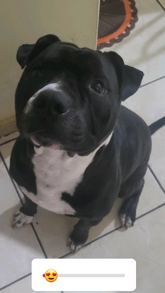 GIF enviado por Henrique