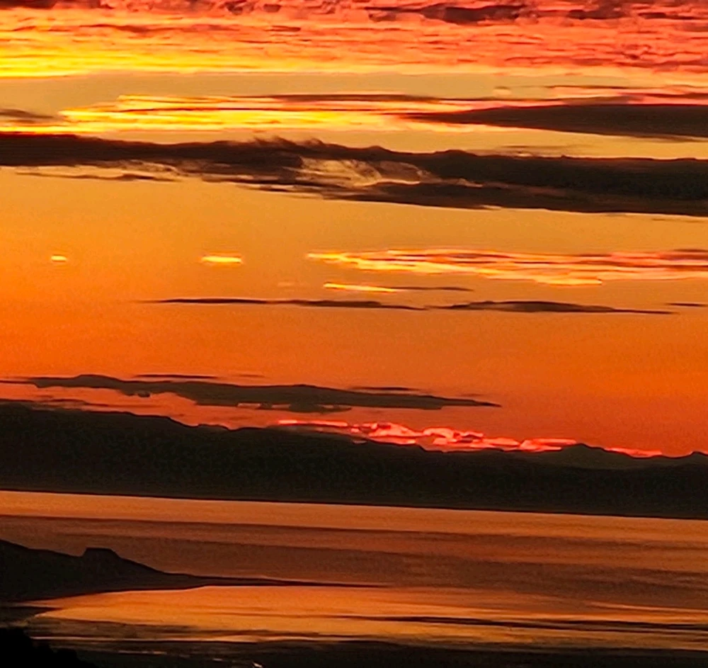 GIF uploaded by 🌻Sunnie🌻