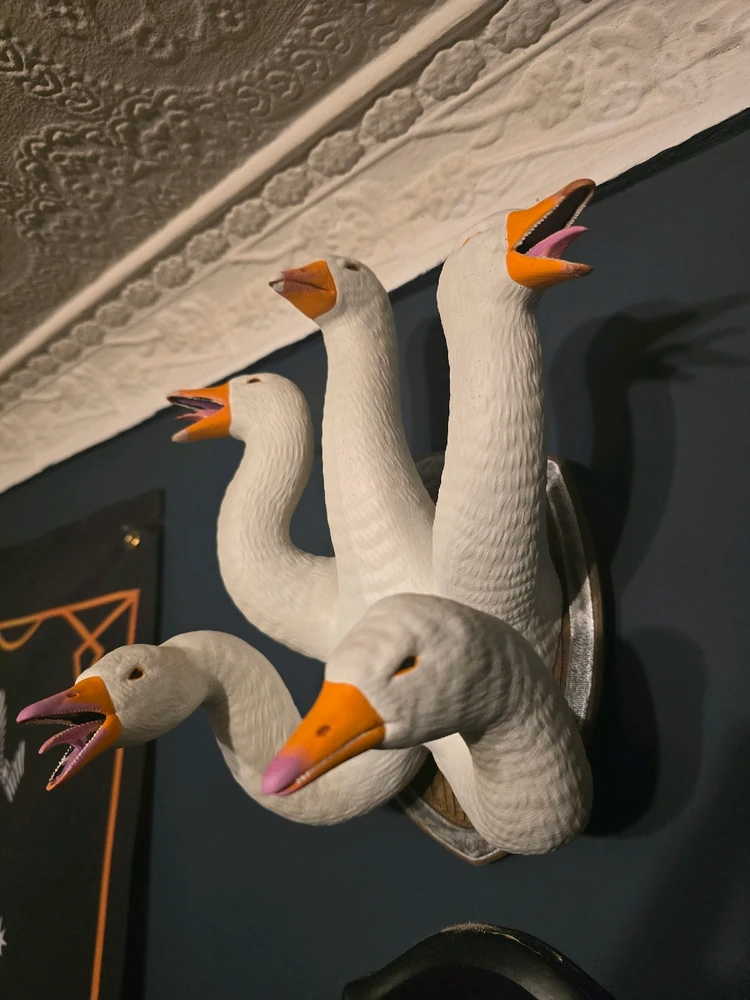 GIF uploaded by Sylo