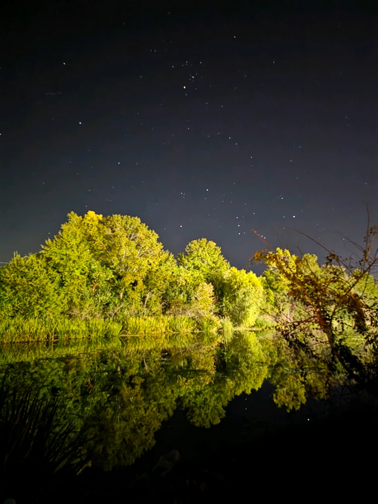 Photos from Nola last weekend๐