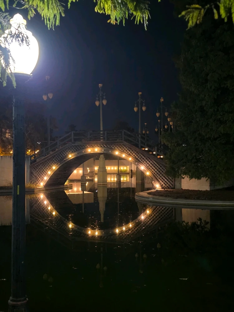 Photos from Nola last weekend๐