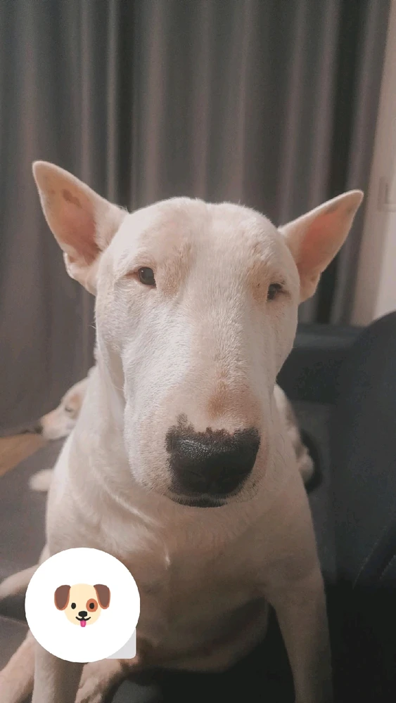 Imagem enviada por Thassiana leite