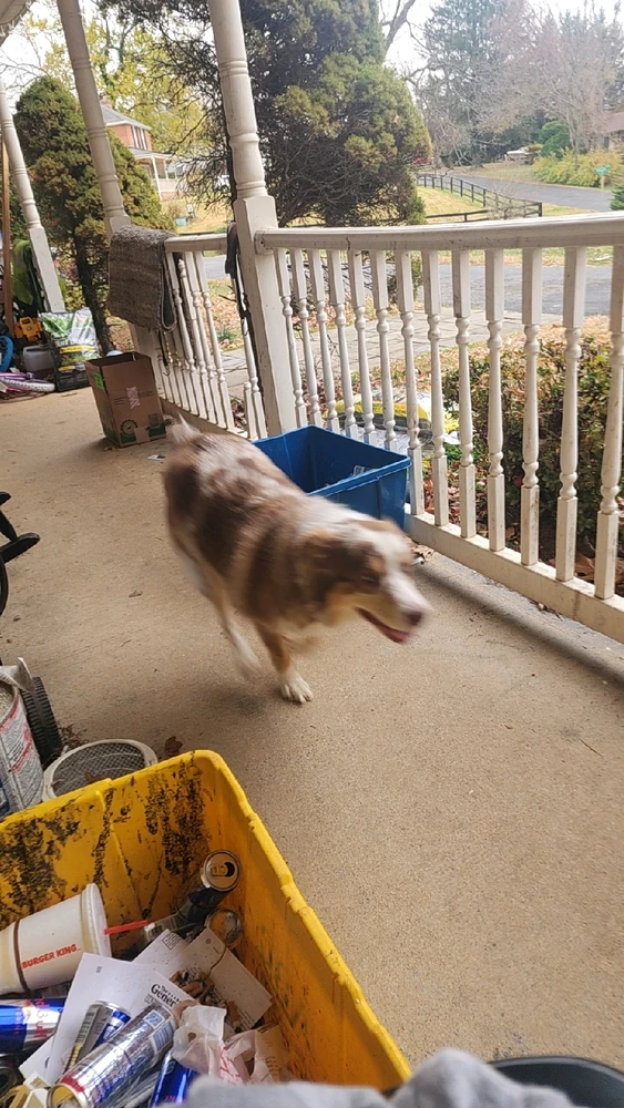 Image uploaded by Bubba
