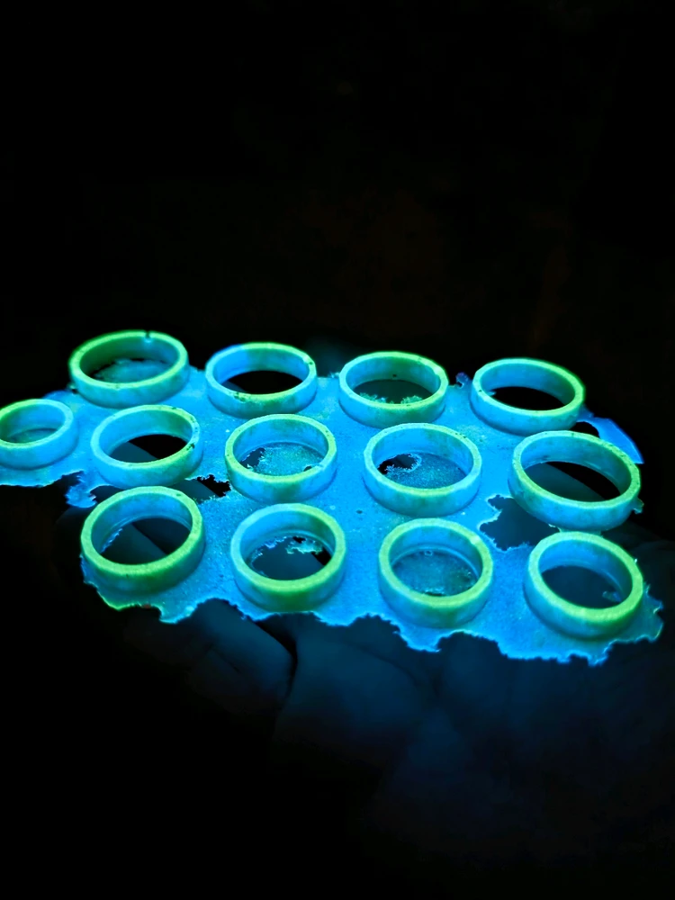 Image uploaded by Blake