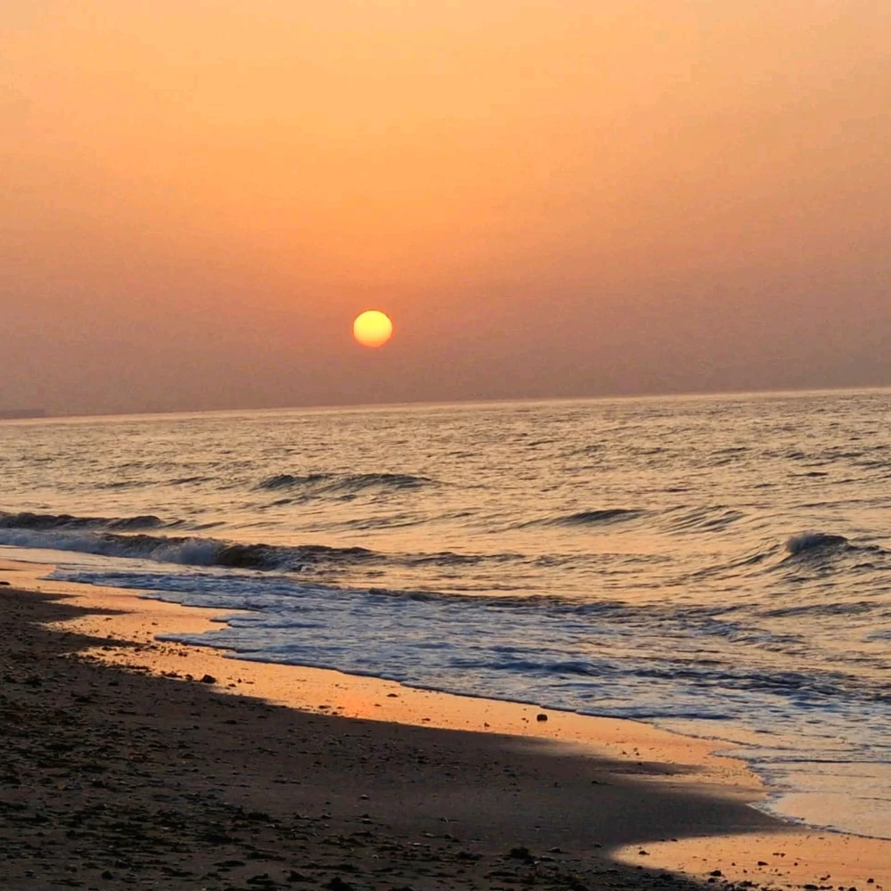 GIF uploaded by Joie