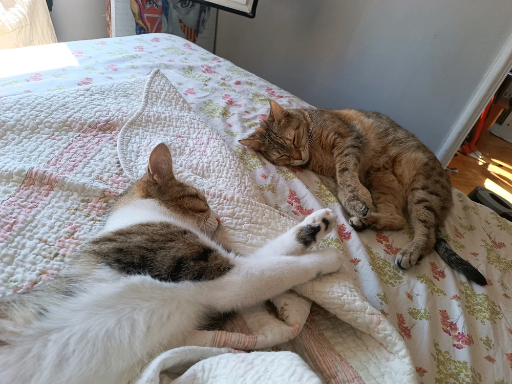 Yoshi님이 올린 사진