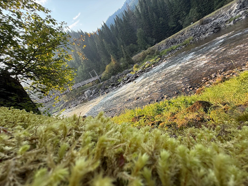 Duab xa los ntawm Malachi Sandidge