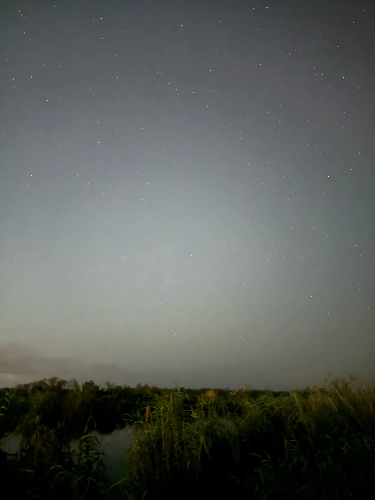 Image uploaded by Jon