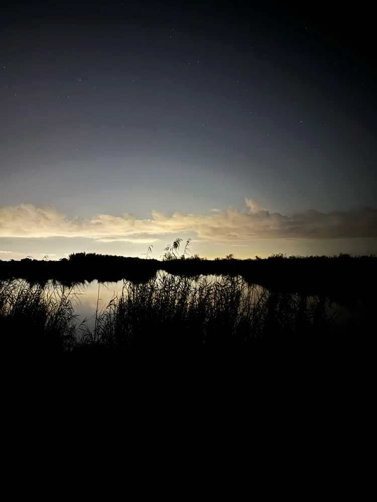 Image uploaded by Jon