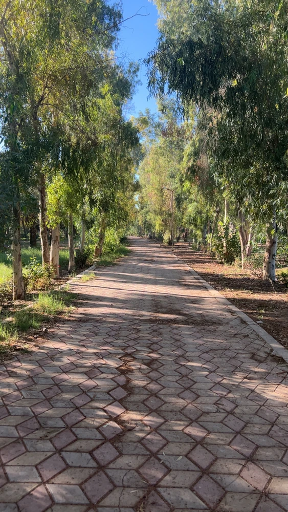 GIF uploaded by Karwan