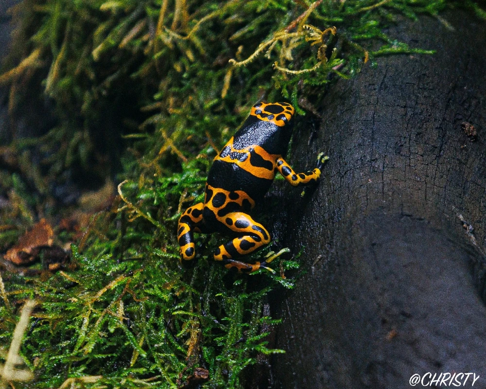 GIF uploaded by Christy