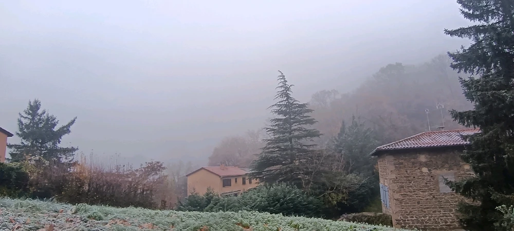 Image ajoutée par Saffiya