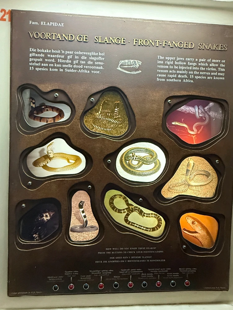 Image uploaded by Aliah