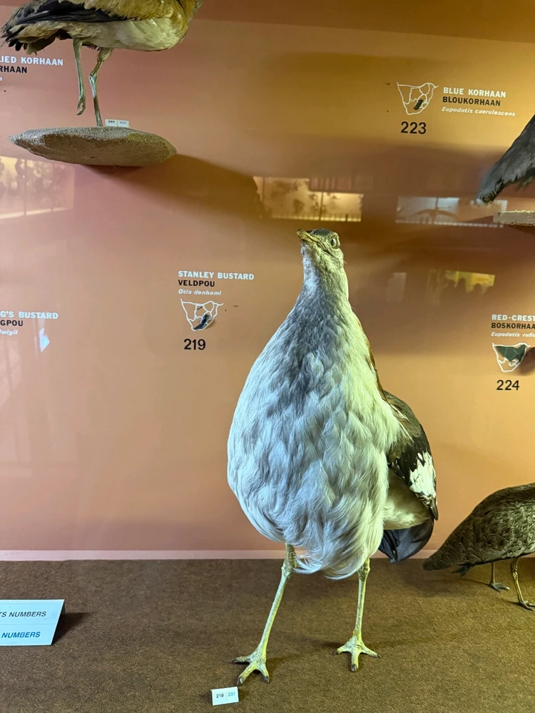 Image uploaded by Aliah