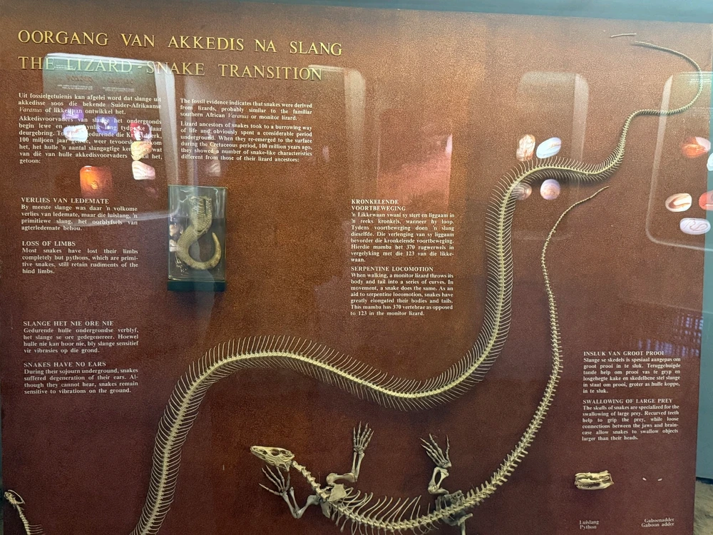 Image uploaded by Aliah