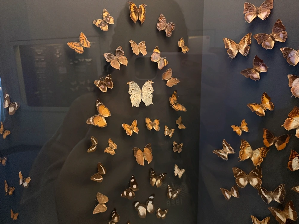 Image uploaded by Aliah