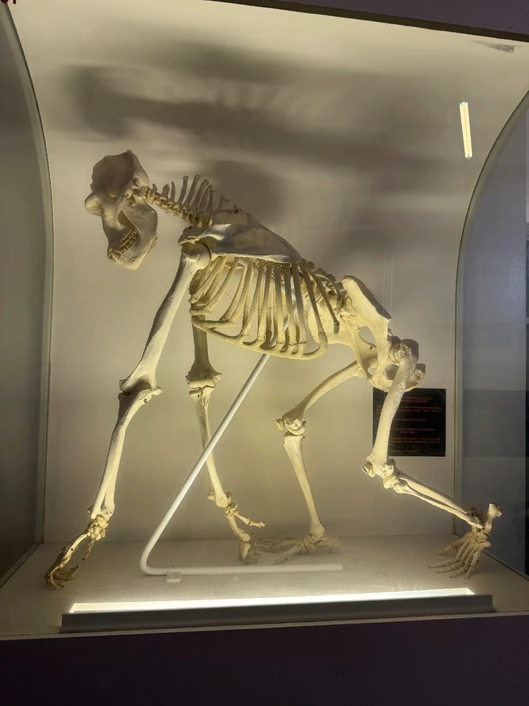 Image uploaded by Aliah