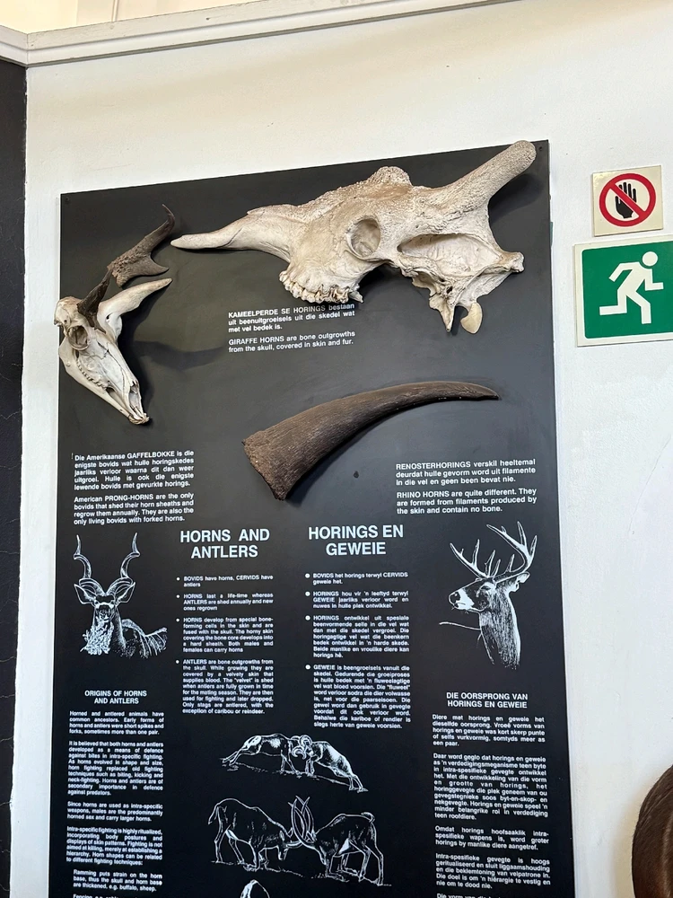 Image uploaded by Aliah