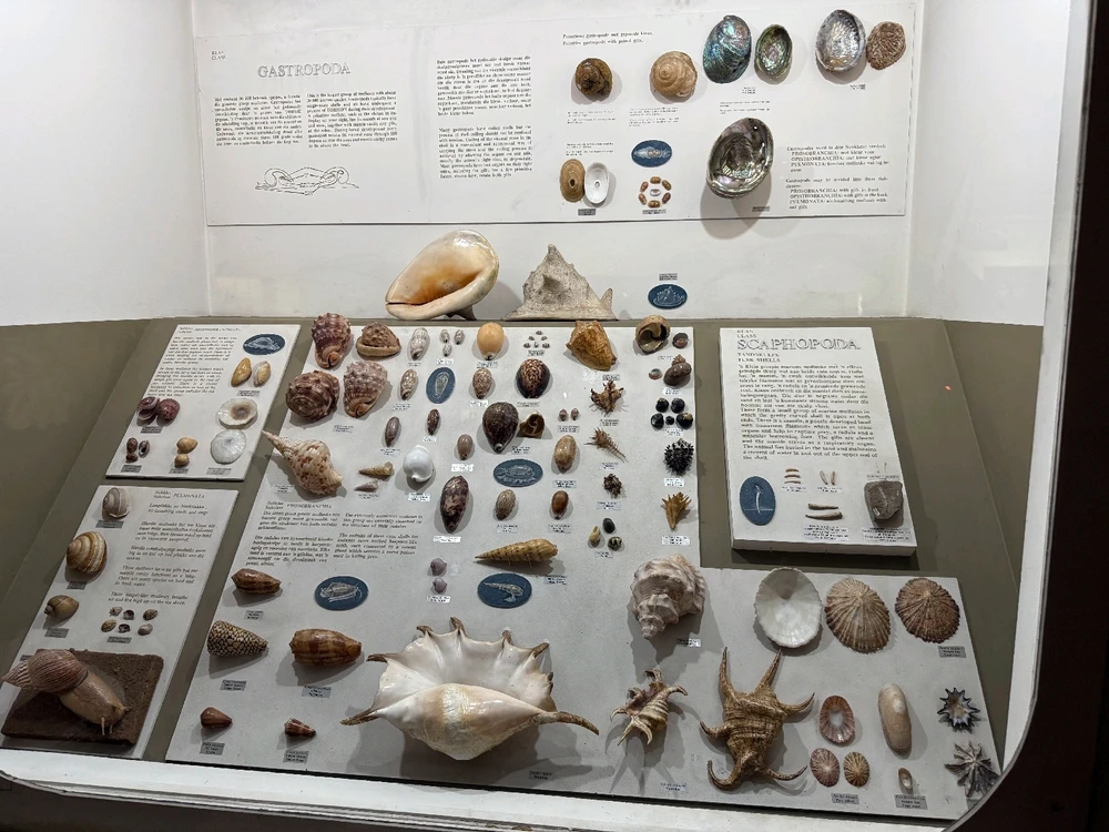 Image uploaded by Aliah