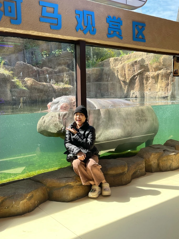 GIF uploaded by Jerah 🌻