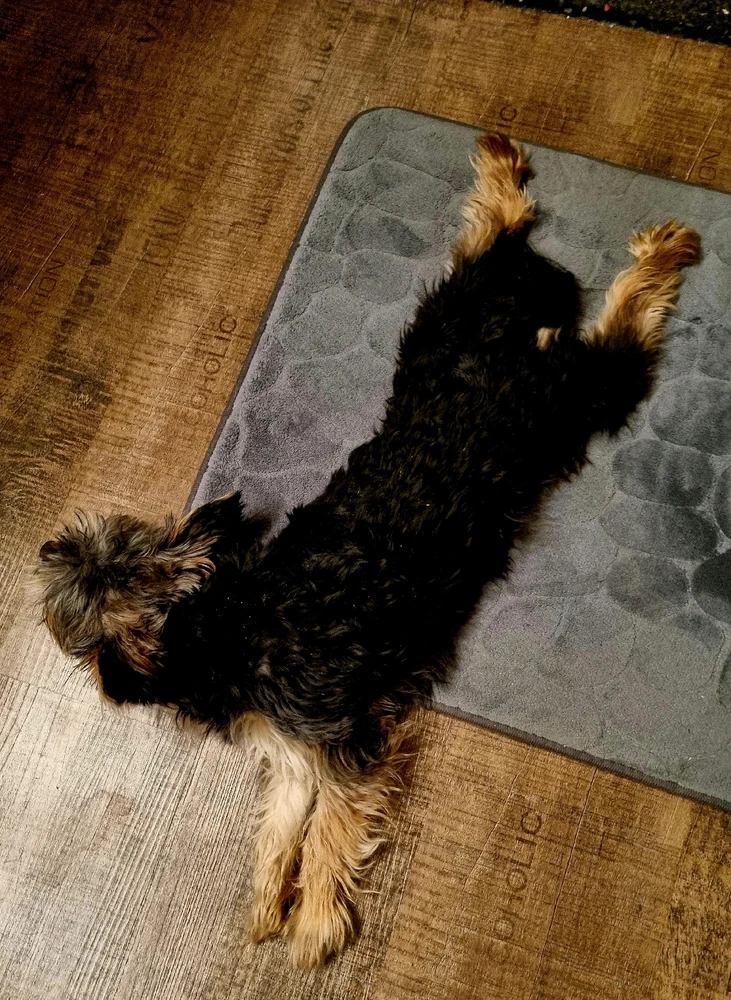 GIF hochgeladen von Andrew