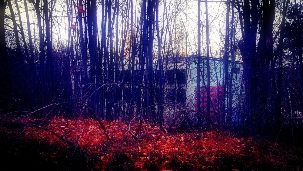 Bild hochgeladen von Sanny